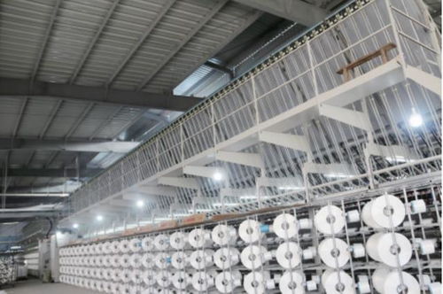 重大項目建設 進行時 四十二 ②